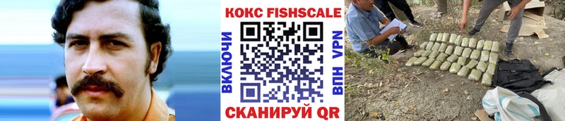 купить Александровск-Сахалинский Cocaine Эквадор