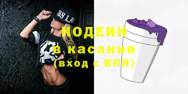 дурь Няндома
