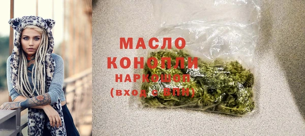 дурь Няндома