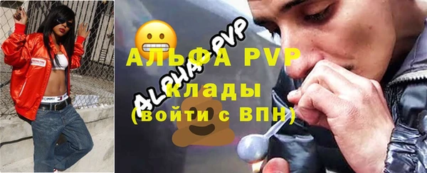 дурь Няндома