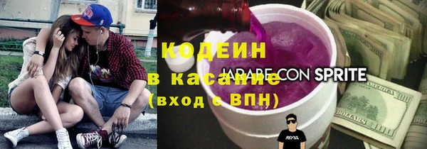 дурь Няндома
