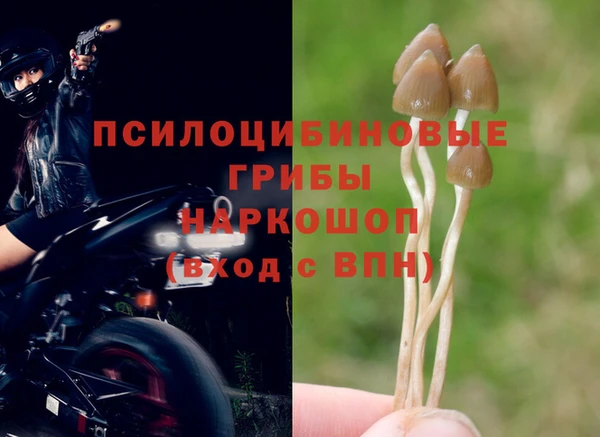 дурь Няндома