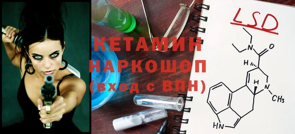 дурь Няндома