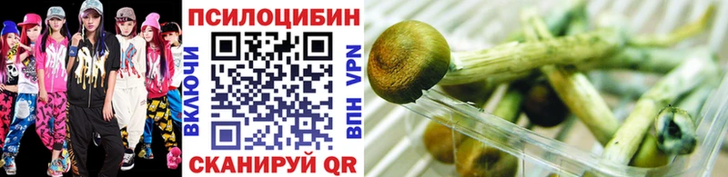 Псилоцибиновые грибы MAGIC MUSHROOMS  Александровск-Сахалинский 